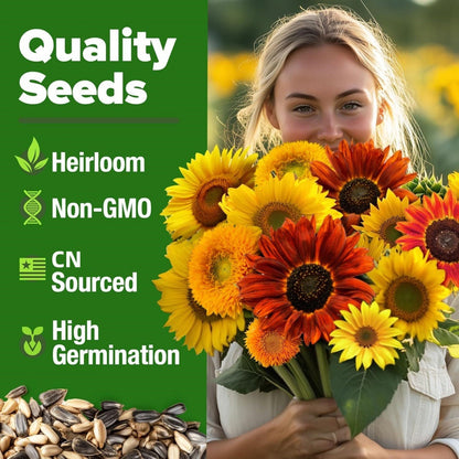 Sunflower Seeds Mix – Red & Colorful Heirloom Collection