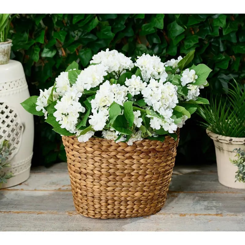 Indoor/Outdoor Hydrangea Urn Filler