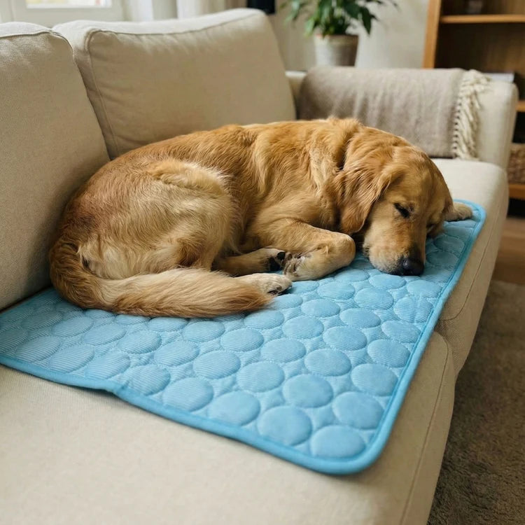 🔥Last Day 49% OFF🔥 -Arctic™ Cooling Dog Mat