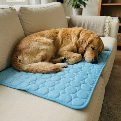 🔥Last Day 49% OFF🔥 -Arctic™ Cooling Dog Mat
