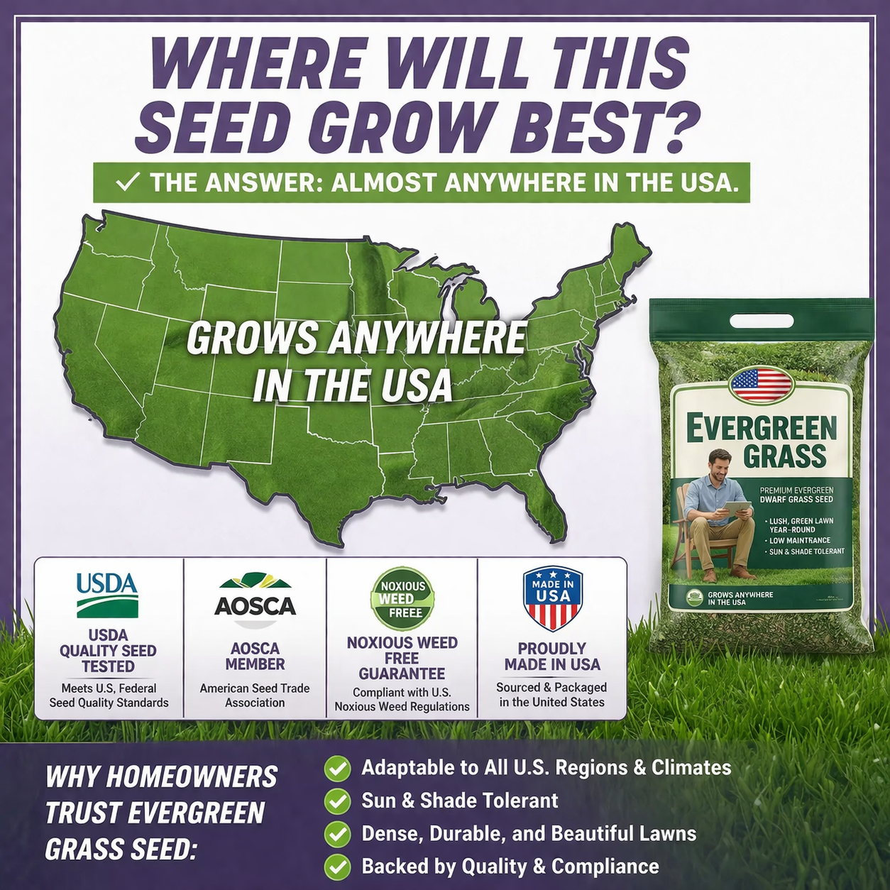 🌱 2026 Four Seasons Evergreen Grass Seed | Durable, Vibrant Green All Year