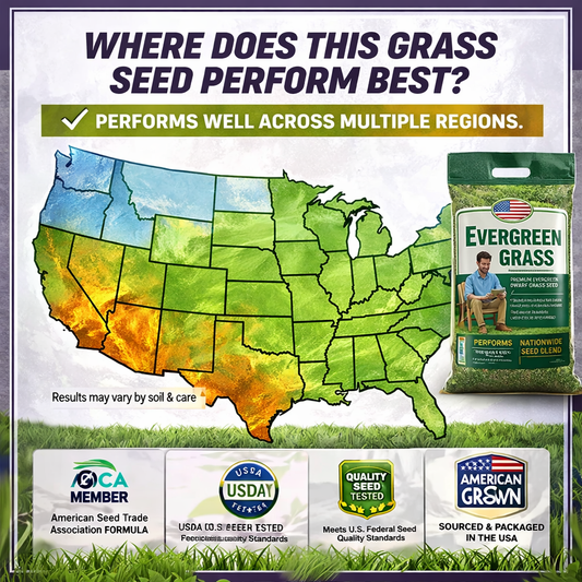 🌱 2026 Four Seasons Evergreen Grass Seed | Durable, Vibrant Green All Year