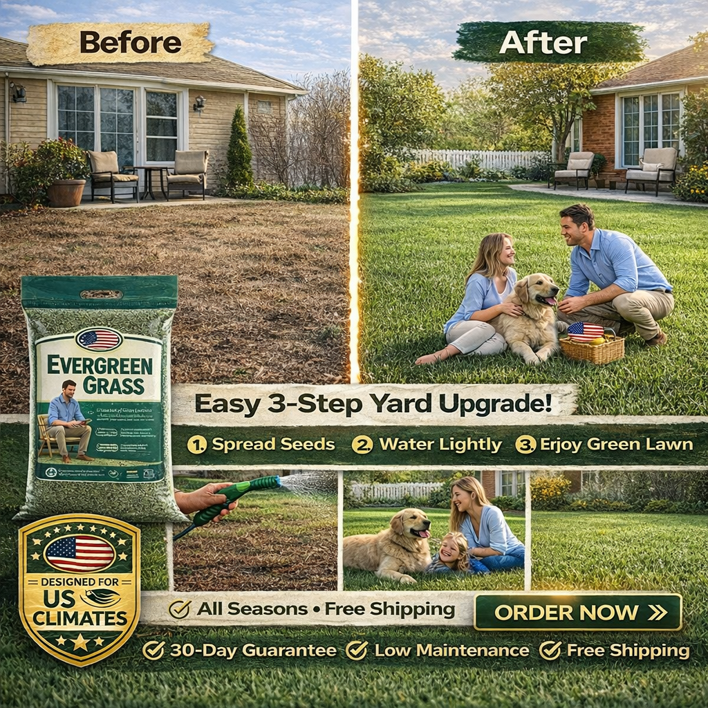 🌱 2026 Four Seasons Evergreen Grass Seed | Durable, Vibrant Green All Year