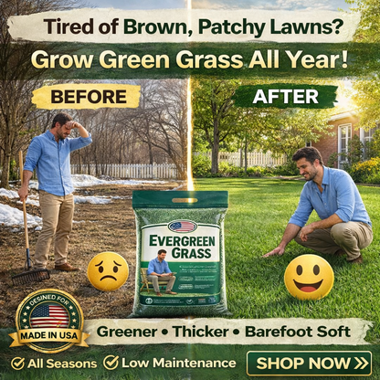 🌱 2026 Four Seasons Evergreen Grass Seed | Durable, Vibrant Green All Year
