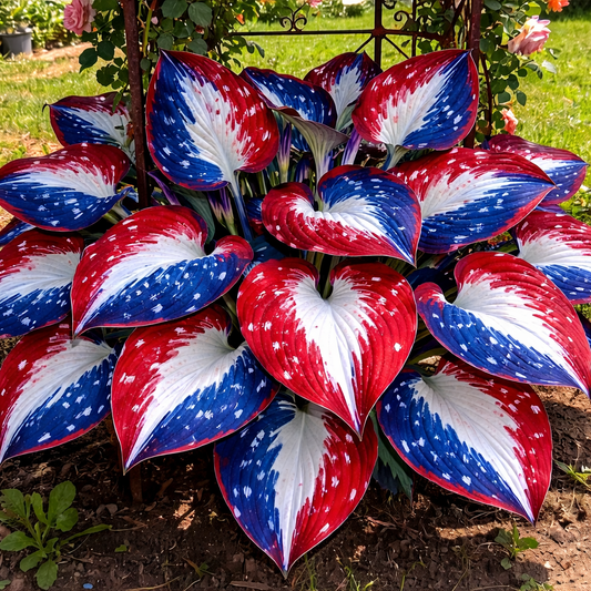 Only $12.99🎉𝐀𝐦𝐞𝐫𝐢𝐜𝐚 𝟐𝟓𝟎𝐭𝐡 𝐀𝐧𝐧𝐢𝐯𝐞𝐫𝐬𝐚𝐫𝐲🌿Premium Rare Hosta Seeds - Shade-Tolerant Plant