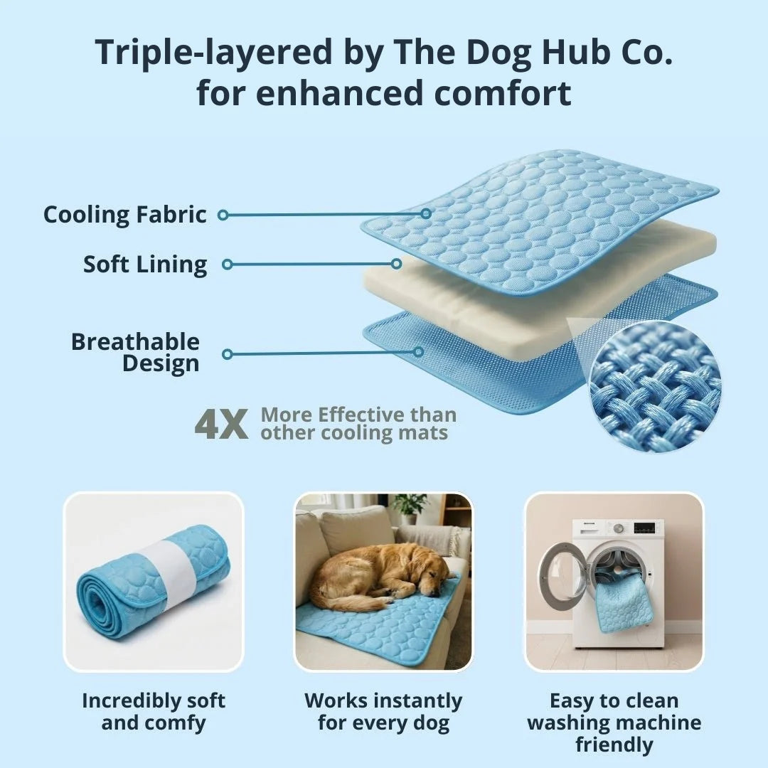 🔥Last Day 49% OFF🔥 -Arctic™ Cooling Dog Mat