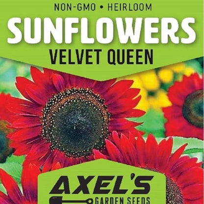 Sunflower Seeds Mix – Red & Colorful Heirloom Collection