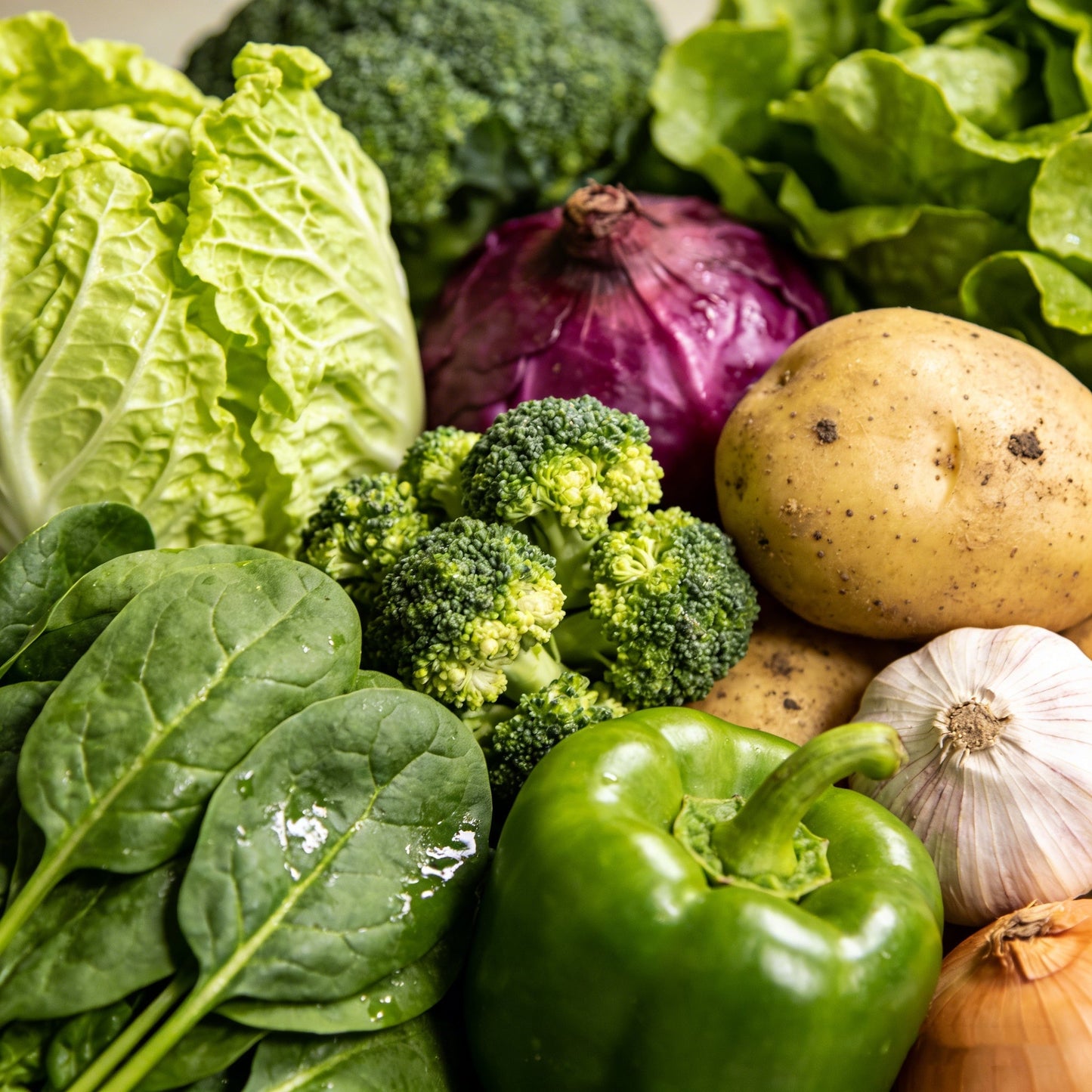 🚨 Grow Your Own Organic Veggies At Home | 35-Variety Seed Vault Kit🥦🥬🫑🌽🥔